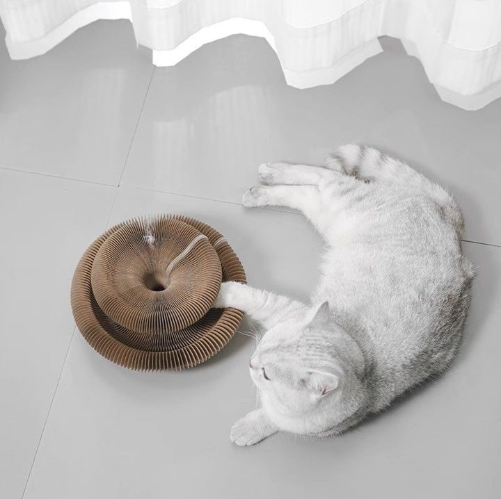 https://fulmo-img-server.com/nyantsume/1791001831236_bbta02u9_snqgzu05.jpeg