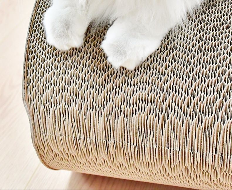 https://fulmo-img-server.com/nyantsume/1791010247171_quwgcelf_60bi7j06.jpeg