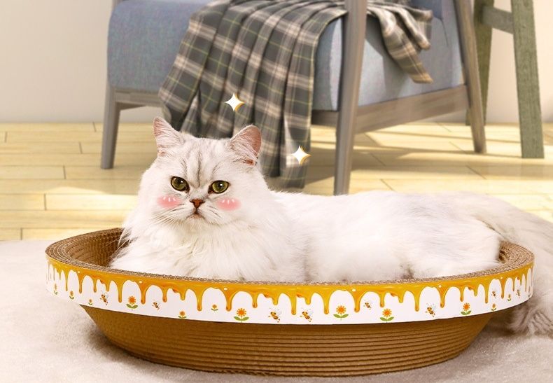 https://fulmo-img-server.com/nyantsume/1791012890784_695y7ode_atv479ms.jpeg