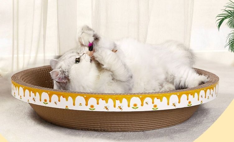 https://fulmo-img-server.com/nyantsume/1791012988632_4513ywil_adr0gh86.jpeg