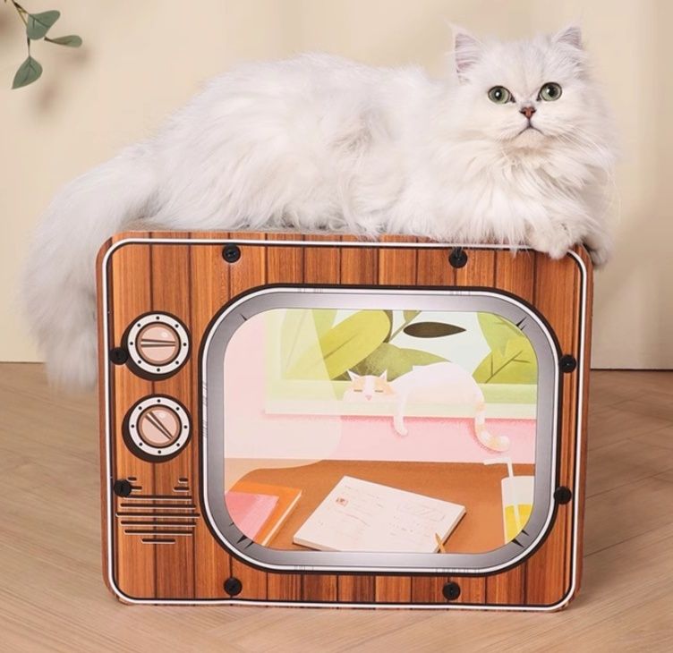 https://fulmo-img-server.com/nyantsume/1791092139915_am9uophd_9ua7zzxu.jpeg