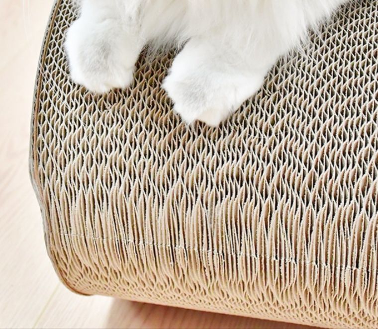 https://fulmo-img-server.com/nyantsume/1791092621412_cya0hsb8_jdp4fu5h.jpeg
