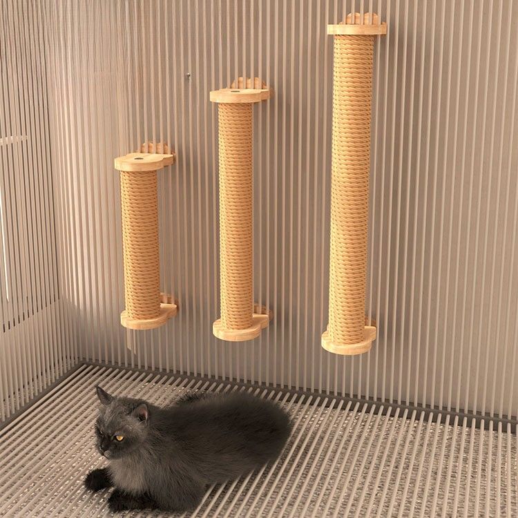 https://fulmo-img-server.com/nyantsume/1791093598448_p02barax_w8jnmldv.jpeg