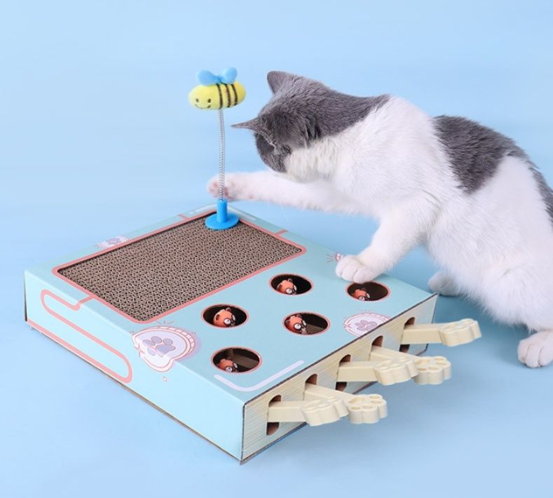 https://fulmo-img-server.com/nyantsume/1791094729746_pwa3w59t_i7wmtqw3.jpeg