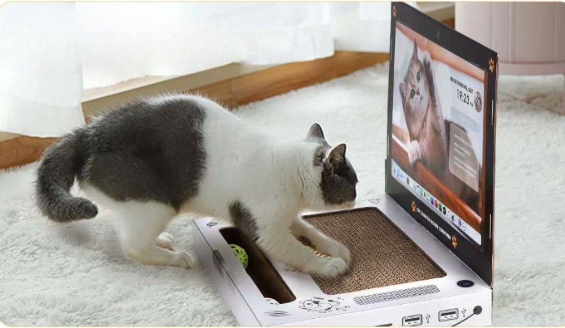 https://fulmo-img-server.com/nyantsume/1791113217803_36t8jkrm_igaalgkb.jpeg