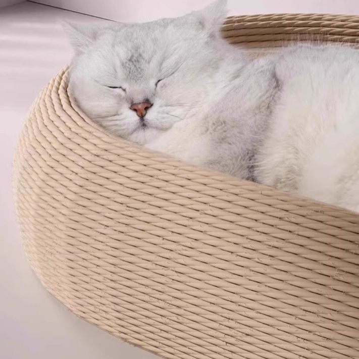 https://fulmo-img-server.com/nyantsume/1791156825604_o8u5i0lc_r2cp6w33.jpeg
