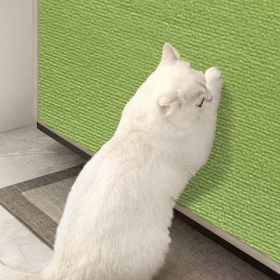 https://fulmo-img-server.com/nyantsume/1791160911626_4a2gb8va_tr4hjbjd.jpeg