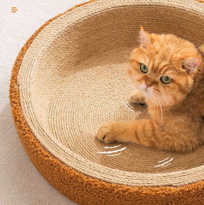 https://fulmo-img-server.com/nyantsume/1791162390915_bseh5hye_7n5sml8o.jpeg