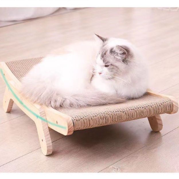 https://fulmo-img-server.com/nyantsume/1791163398503_00bqb3z2_qonun1k8.jpeg