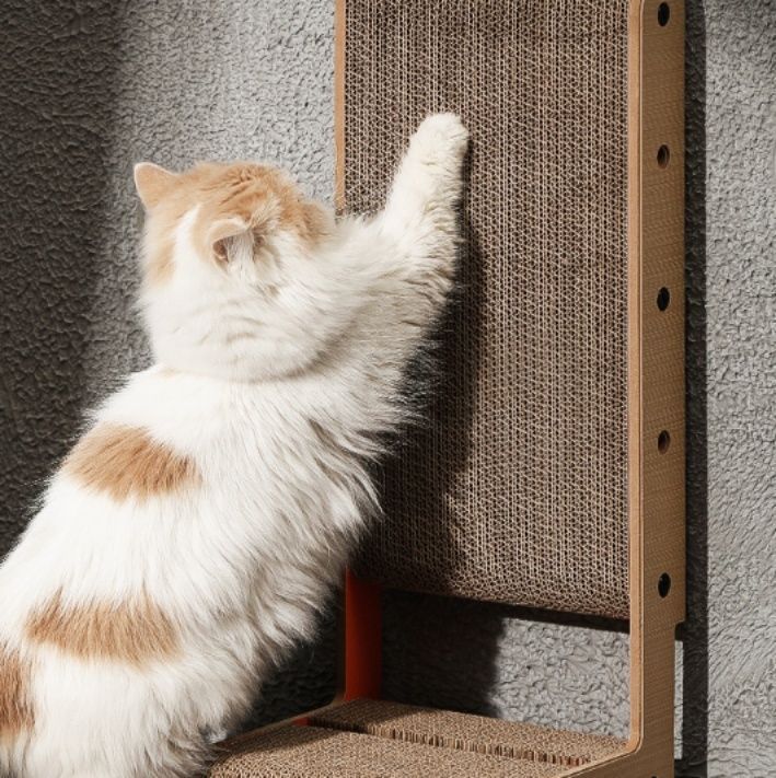 https://fulmo-img-server.com/nyantsume/1791164570304_y8uie6zo_c551guiz.jpeg