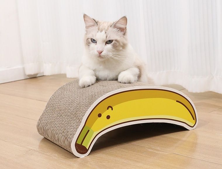 猫爪とぎ かわいい食べ物デザインダンボールベッド