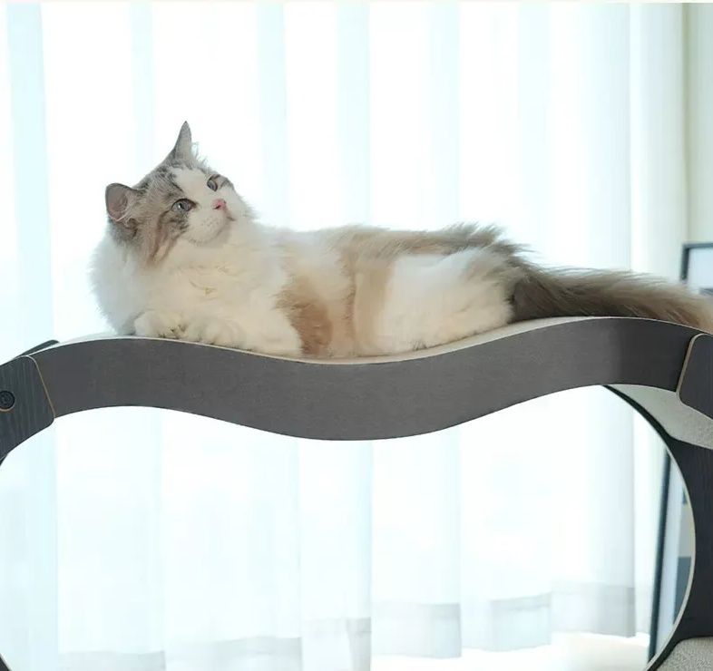https://fulmo-img-server.com/nyantsume/1791178994189_wc9vie2z_kktm1orw.jpeg