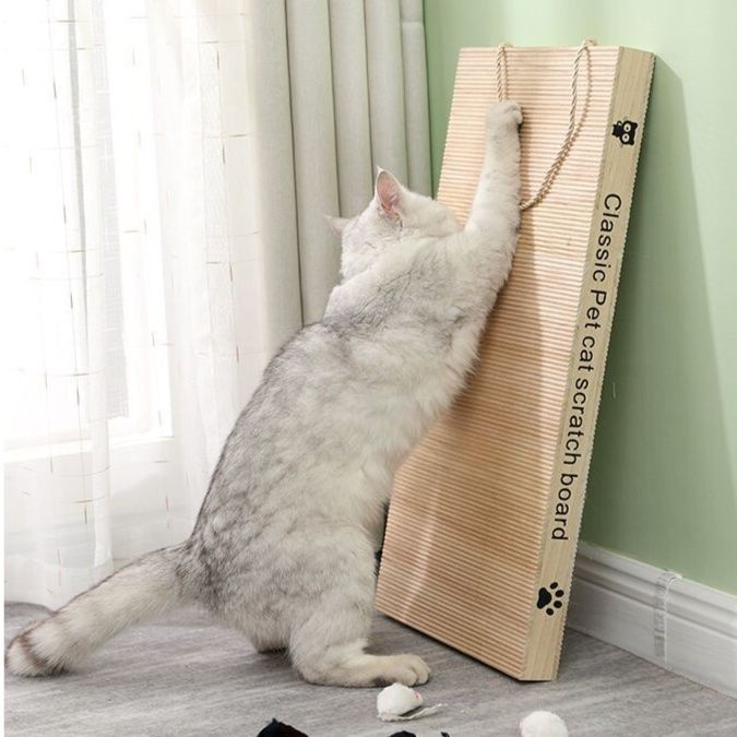 https://fulmo-img-server.com/nyantsume/1791180925881_9rjiq73p_0y28bqbz.jpeg