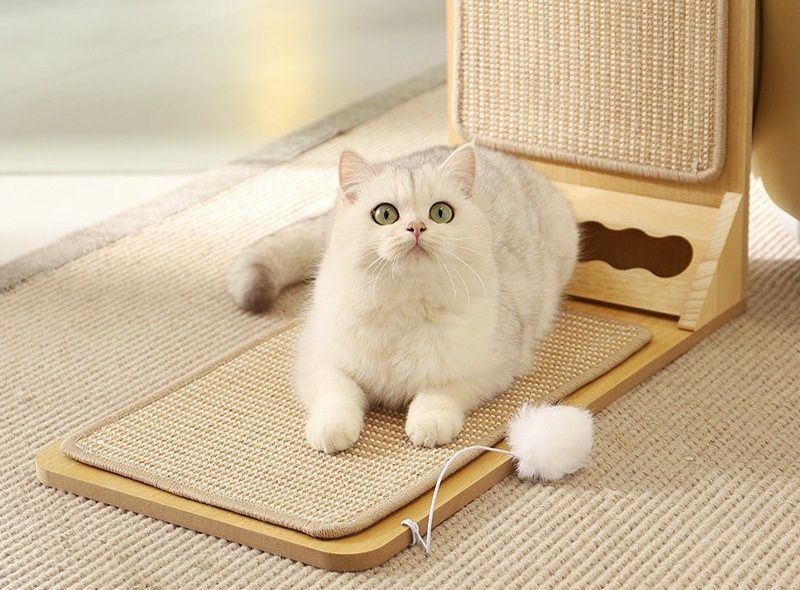 https://fulmo-img-server.com/nyantsume/1791181646229_tsvls1yn_a1fsjate.jpeg