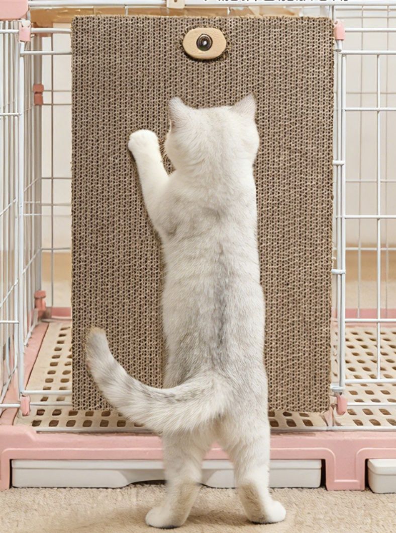 https://fulmo-img-server.com/nyantsume/1791182124725_nkct99dx_73kk3eec.jpeg