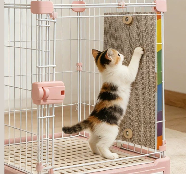 https://fulmo-img-server.com/nyantsume/1791182159446_8pjtbnya_g3bbs6ah.jpeg