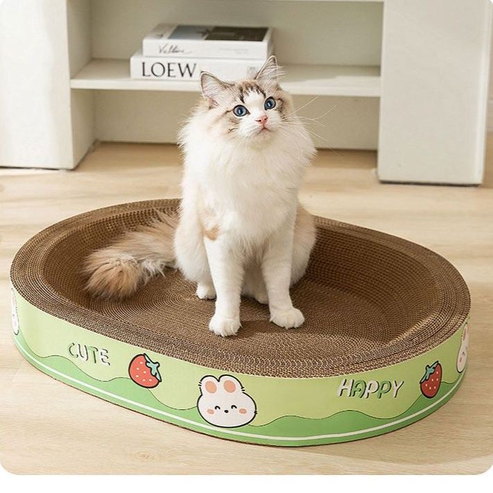 https://fulmo-img-server.com/nyantsume/1791183811643_fq6jrao7_rvkglof6.jpeg