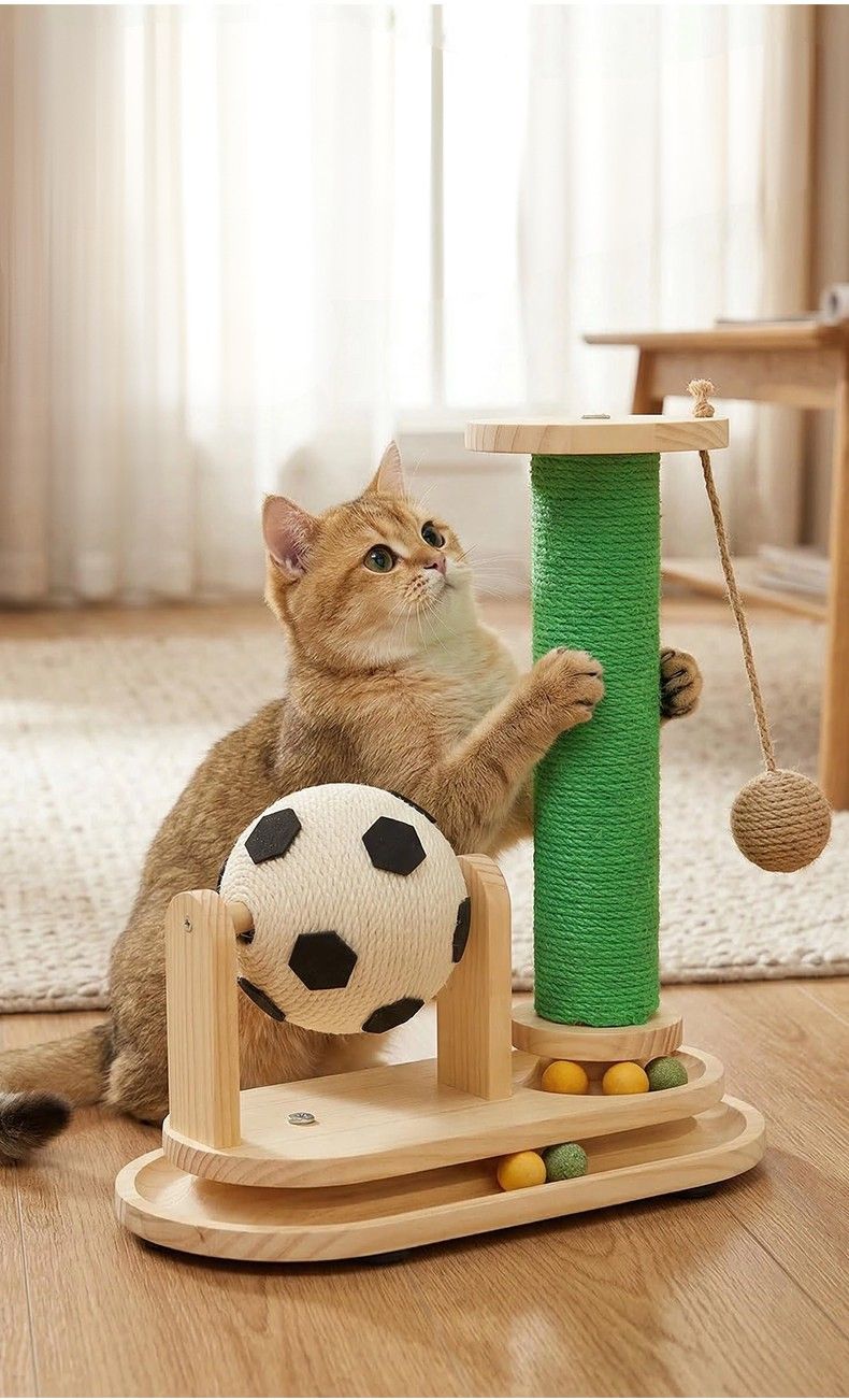 https://fulmo-img-server.com/nyantsume/1791184697337_0lu6b6aa_asvcvp5r.jpeg