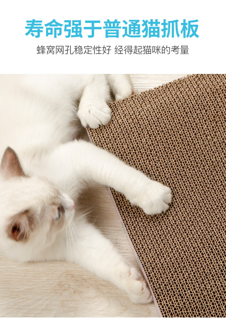 https://fulmo-img-server.com/nyantsume/2c3dbf97-3fab-4f4c-aa30-aef564b3b5ea.jpg
