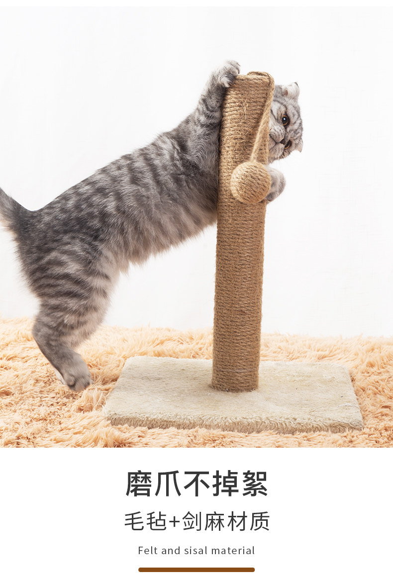 https://fulmo-img-server.com/nyantsume/577b9824-4564-4103-b86b-9340905c4f35.jpg
