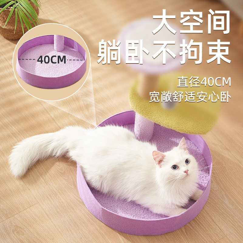 https://fulmo-img-server.com/nyantsume/5e35008f-e284-4b81-b0cb-f9d8e4e63c97.jpg