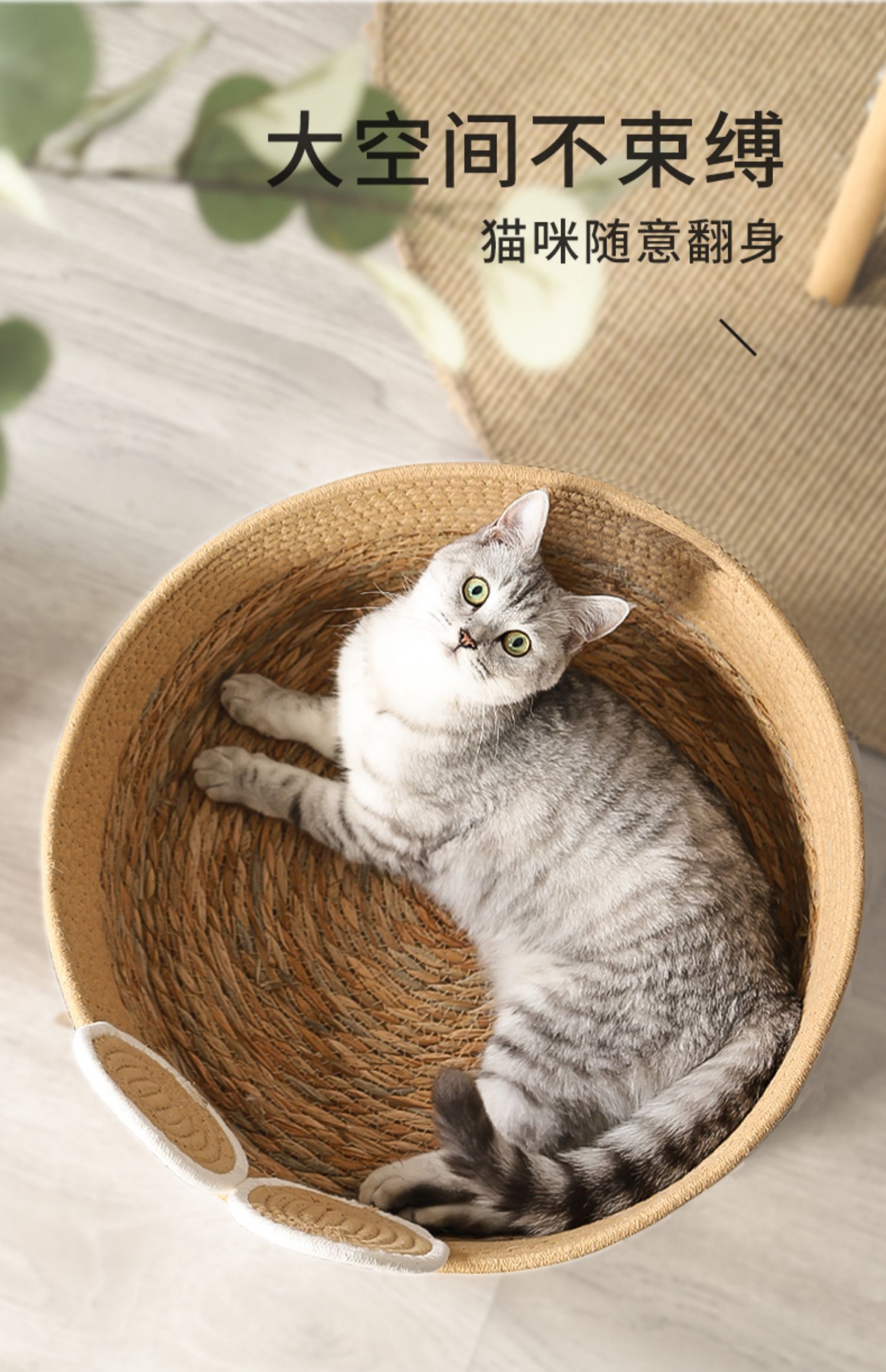 https://fulmo-img-server.com/nyantsume/83cb2200-be56-4c79-8ee7-66c86ea57307.jpg