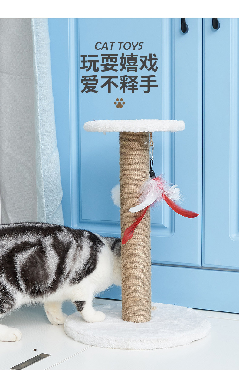 https://fulmo-img-server.com/nyantsume/9f3bced5-0554-4996-914f-824a01350620.jpg