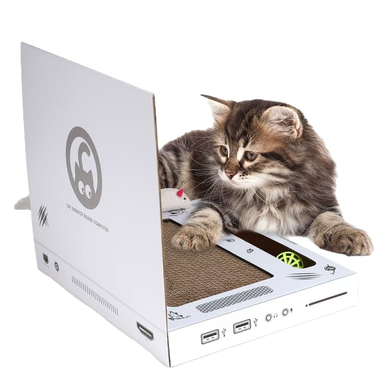 https://fulmo-img-server.com/nyantsume/a05a5bab-5354-410a-b044-8f4242de02a1.jpg