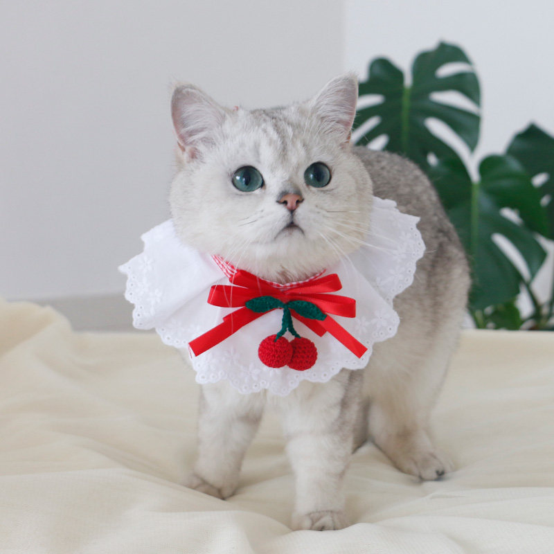 猫首輪 さくらんぼ飾りレースフリルリボン