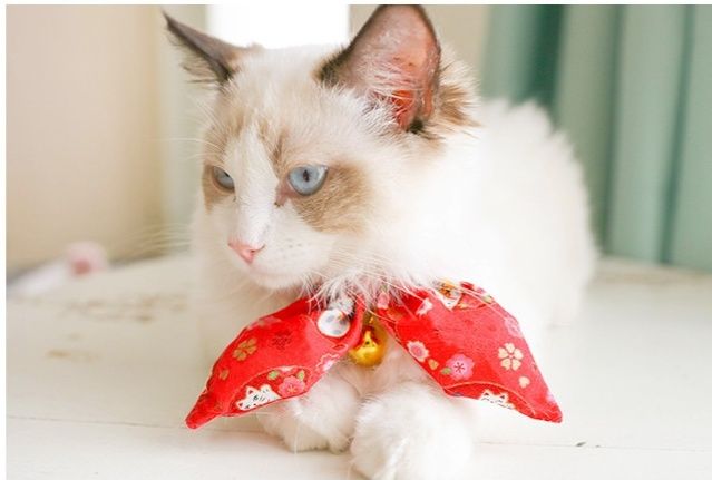 猫首輪 和花模様のリボン付き 鈴つき