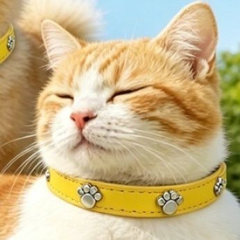 猫首輪 肉球チャーム付きレザー調猫首輪