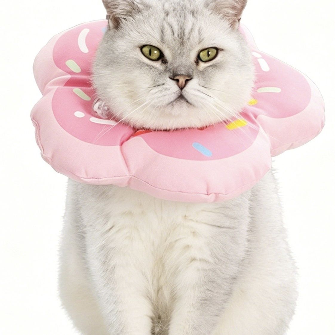 猫首輪 花びら形エリザベスカラー 軽量防水首輪