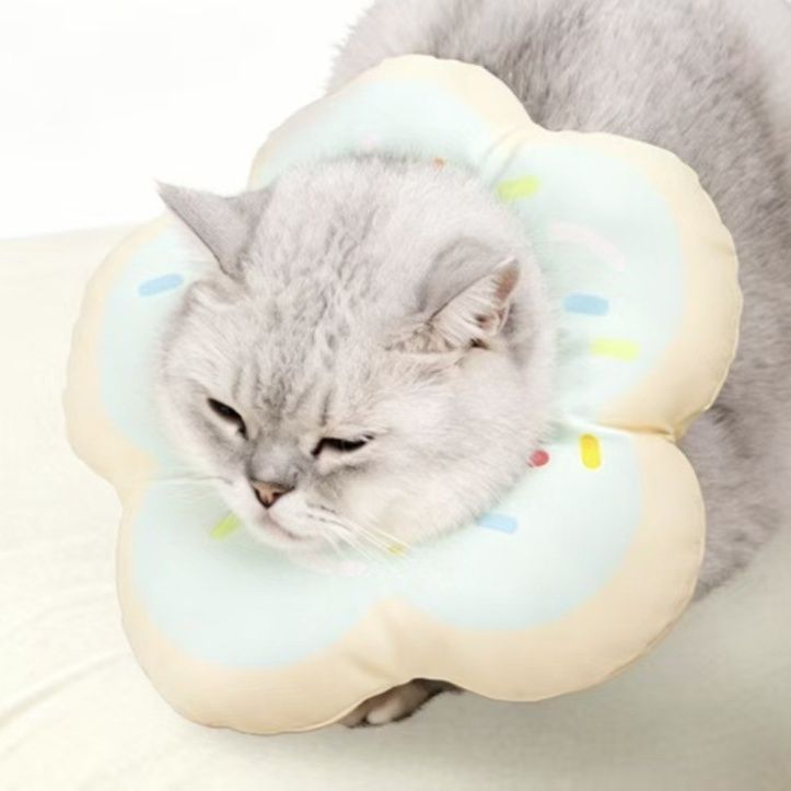 https://fulmo-img-server.com/nyaruru/1791941756602_y2yyzjnh_pw96s45m.jpeg