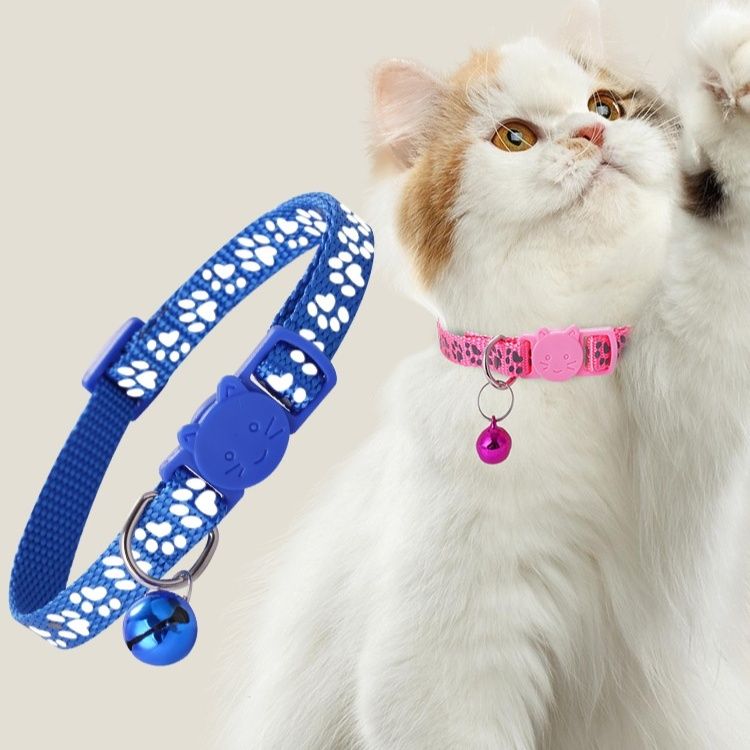 https://fulmo-img-server.com/nyaruru/1791944641748_6r3gea3r_noc507hk.jpeg