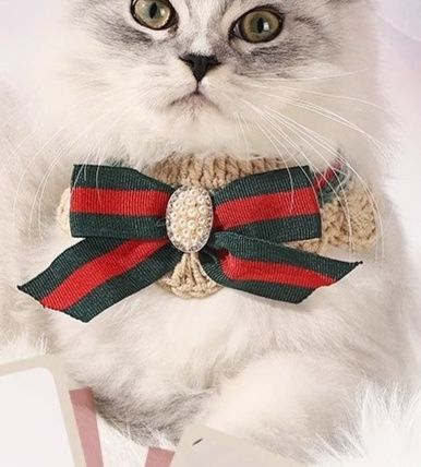 猫首輪 手編みレース大リボン飾り付き猫首輪