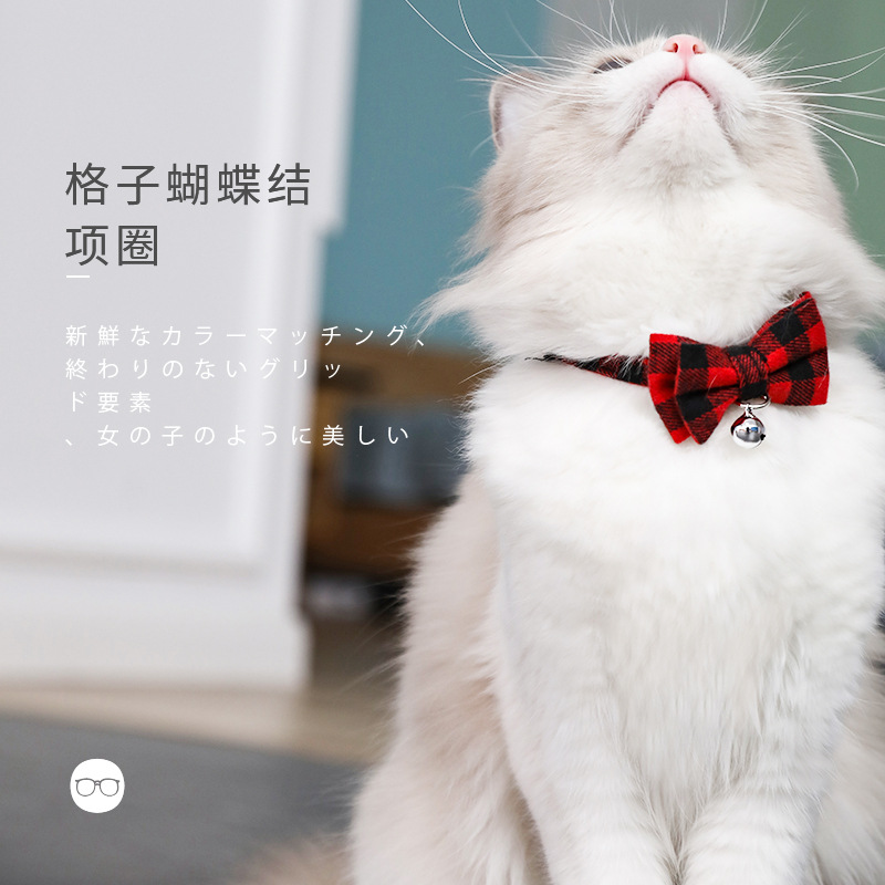 https://fulmo-img-server.com/nyaruru/a1052edd-41d1-4cbc-8d94-3a918dd3492c.jpg