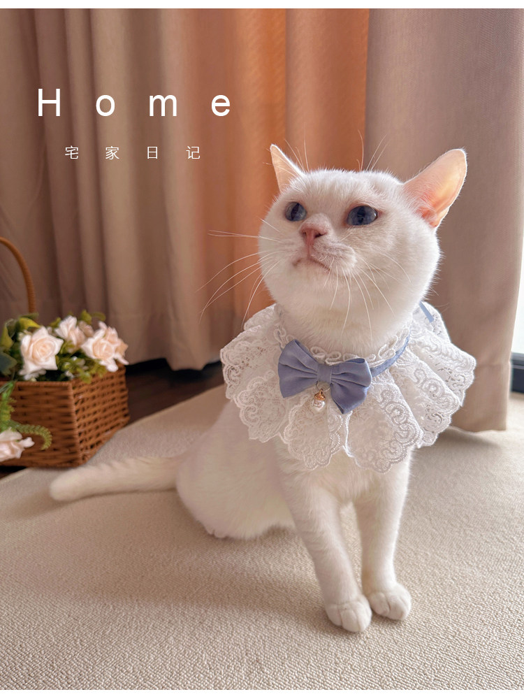 https://fulmo-img-server.com/nyaruru/de710753-9d09-4f2c-bc52-a9dd77f1d0c0.jpg
