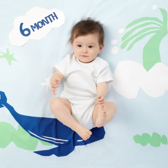 https://fulmo-img-server.com/okurumy/1757160805326_4m1st6o6_m58gx1jo.jpeg