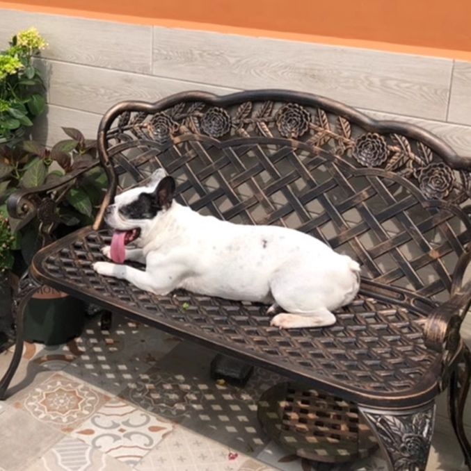 https://fulmo-img-server.com/outdoor-chair-lab/1746436397669_tfvl3ukd_5vtdnwfg.jpeg