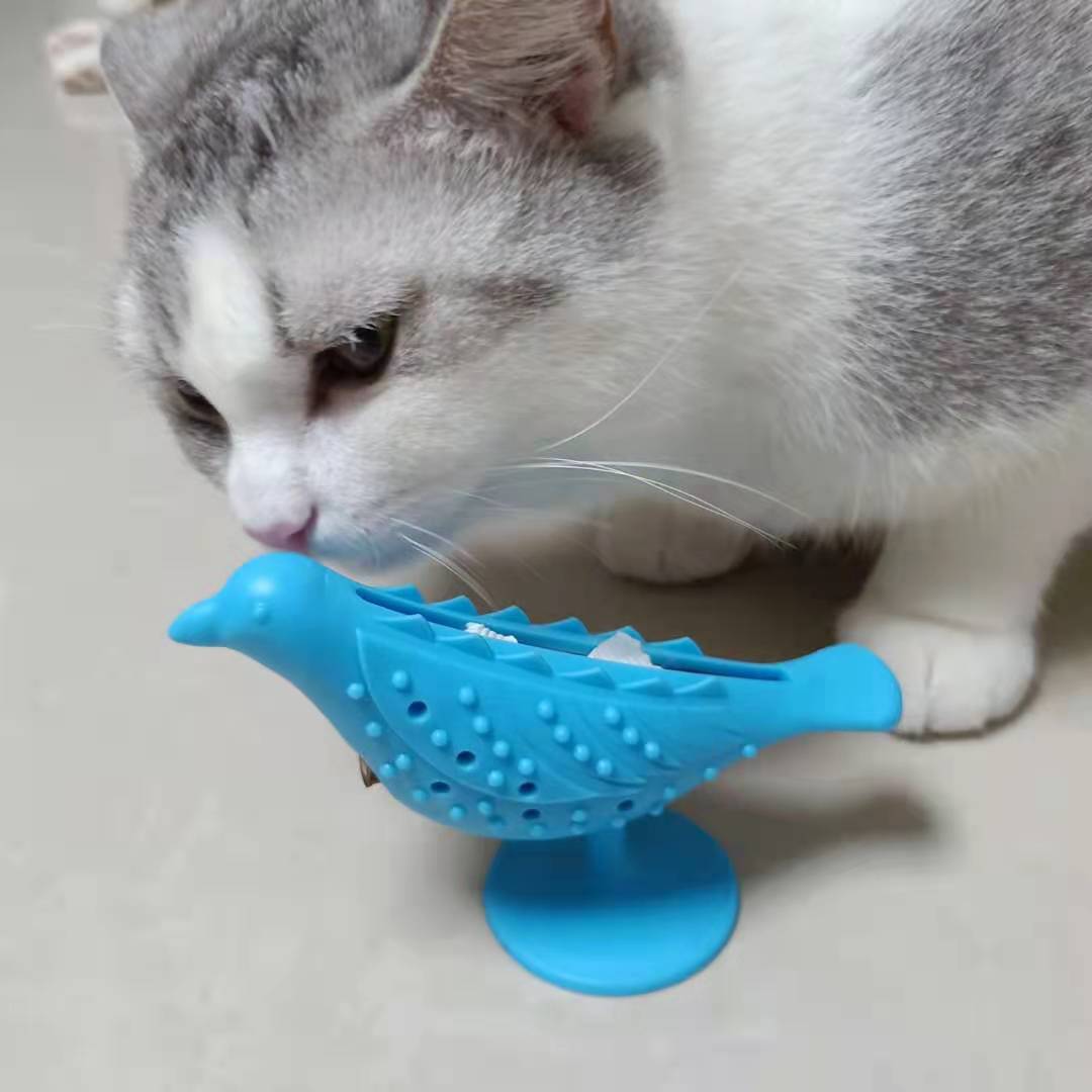https://fulmo-img-server.com/party-cat/13c2e281-7a18-4d19-bb36-8339c032f83c.jpg