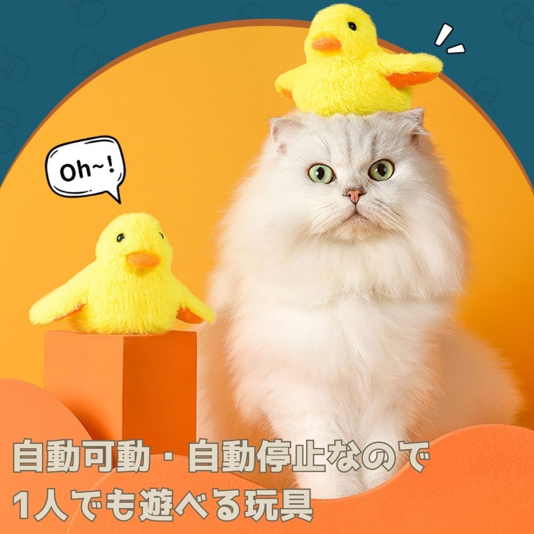 https://fulmo-img-server.com/party-cat/14e4feb4-0de6-4961-9b88-bc4eaf960e31.jpg