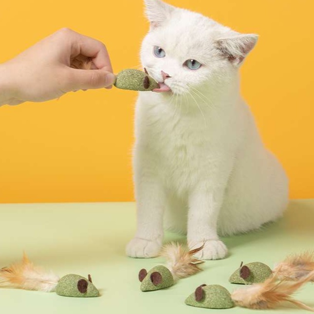 猫 おもちゃ 天然素材のにゃんこ玩具