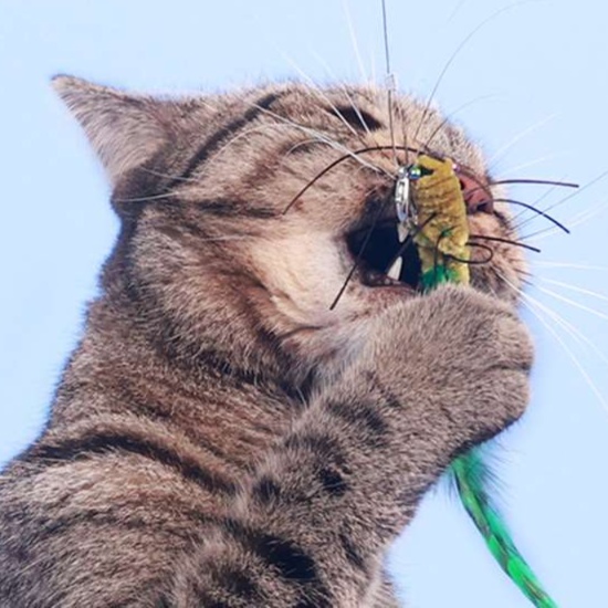 猫 おもちゃ もふもふ昆虫の猫じゃらし