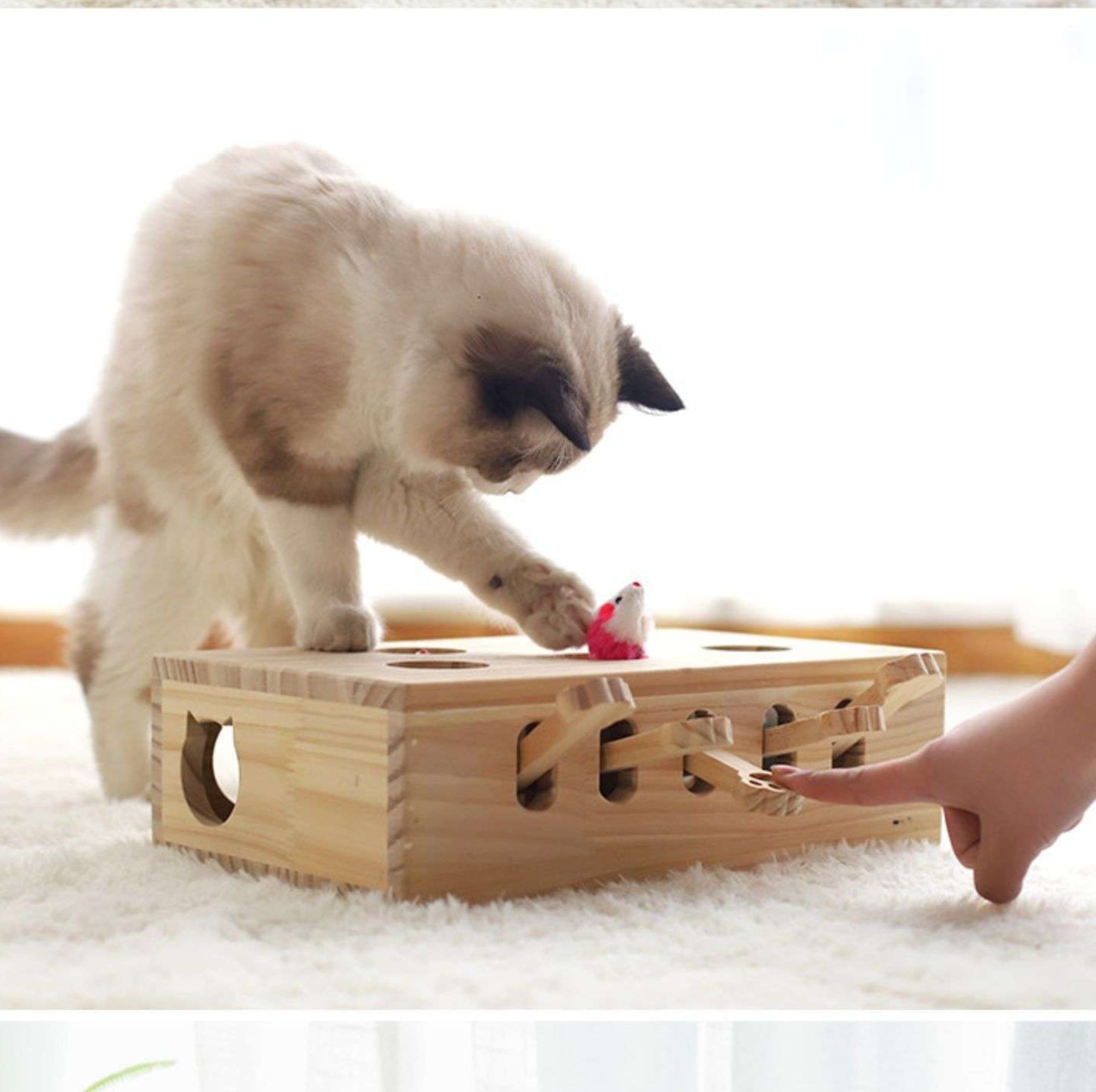 猫 おもちゃ 木製もぐらたたき猫じゃらし 