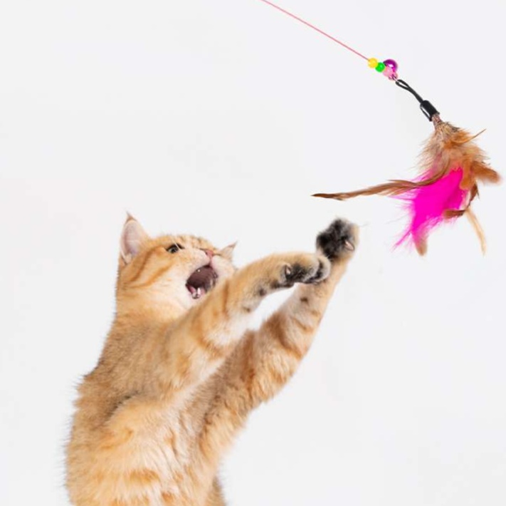 猫 おもちゃ 不屈の羽根付き伸縮猫じゃらし棒