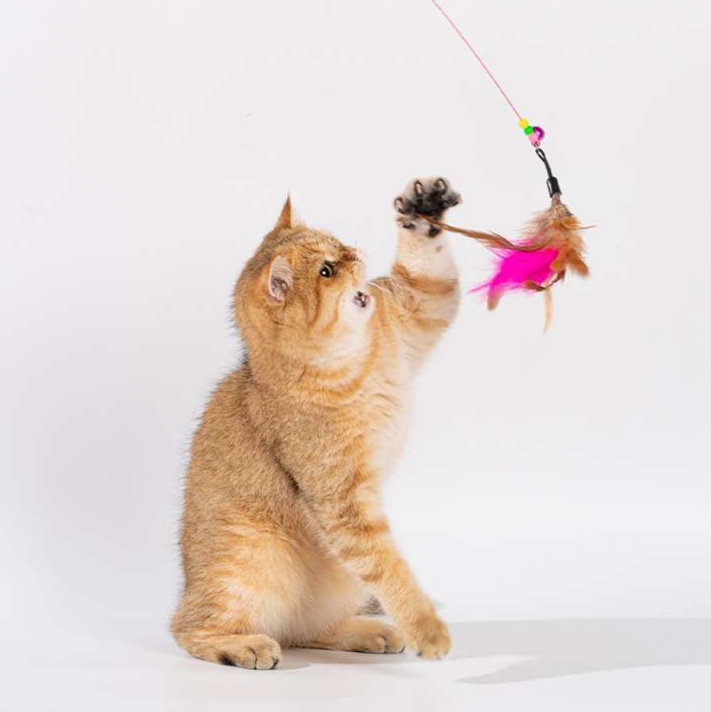 猫 おもちゃ 不屈の羽根付き伸縮猫じゃらし棒