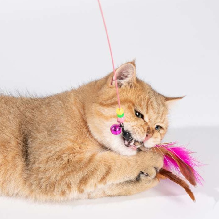 猫 おもちゃ 不屈の羽根付き伸縮猫じゃらし棒