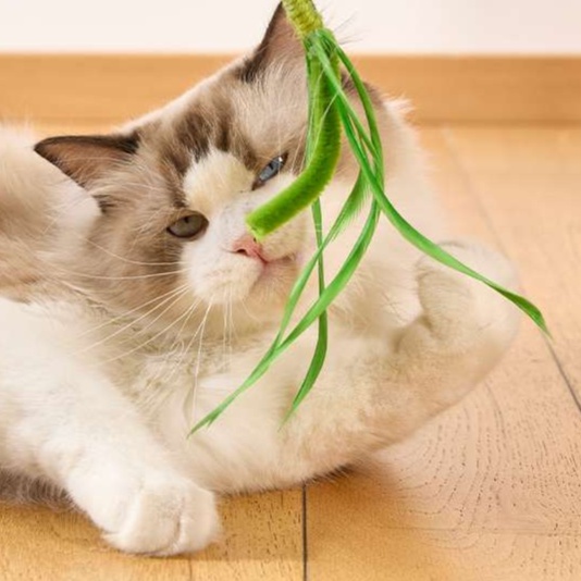 猫 おもちゃ 自然派 シンプル 伸縮式 猫じゃらし
