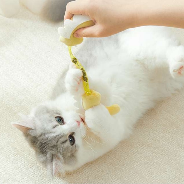 猫 おもちゃ まんまる猫じゃらし 虫嚢果入り