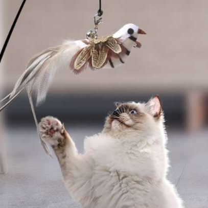 猫 おもちゃ 花かざり キラリ猫じゃらし